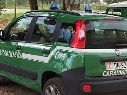 Priverno, un piazzale per le auto al posto di un terreno agricolo: due denunce