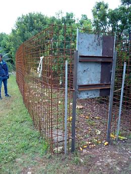 Una gabbia nel Parco per catturare cinghiali: bracconiere denunciato