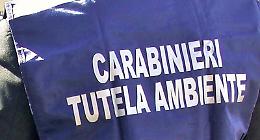 Traffico illecito di rifiuti, sequestri e perquisizioni tra Roma e Latina