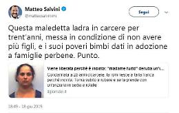 Salvini interviene su Madame furto: "Resti in carcere 30 anni"