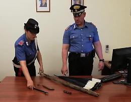 Artena, mega rissa tra ragazzi a Villa Borghese: otto arresti e una denuncia