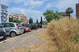 Il grido d'allarme dei residenti di via Ovidio per zecche ed erbacce