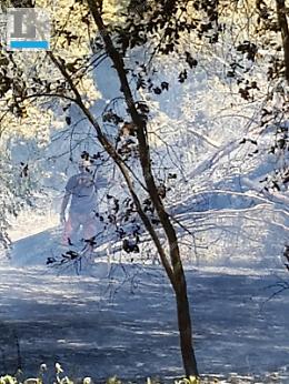 Incendio alla Pineta a Minturno, ora la conta dei danni