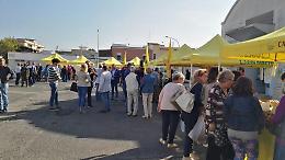 Campagna Amica Coldiretti, caso risolto: si farà in piazza del Popolo