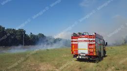 Rogo di sterpaglie alle porte della città, vigili del fuoco al lavoro