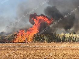 Latina, città assediata dagli incendi: si cerca un piromane
