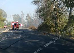 Piromani ancora in azione, vasto incendio alle porte di Latina
