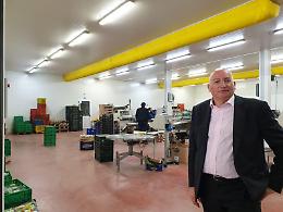 Agricoltura, Adinolfi (Lega): "Opportunità dai fondi europei"