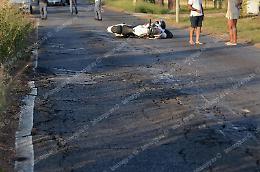 Strade dissestate dalle radici, il Comune nomina un perito
