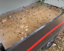 Trovati col carrello da trasporto rubato, due denunciati
