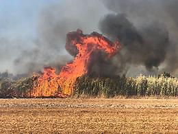 Latina, allarme incendi: rogo in via Cervone a poca distanza dalle Autolinee
