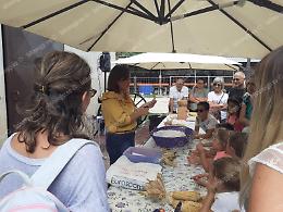 «Fattorie Aperte»: successo per il percorso tra storia, natura e sapori