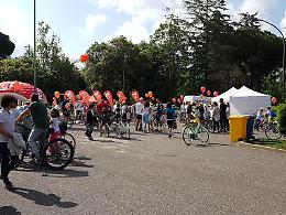 Bicincittà, domenica l'evento all'insegna della mobilità sostenibile