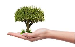Ambientalismo a senso unico: tutti «Plastic Free», ma gli alberi sono sempre meno