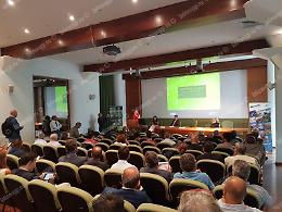 Settore ortofrutticolo, ecco il comparto agricolo che vola