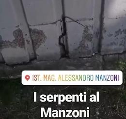 Un serpente vicino al liceo Manzoni: il video degli studenti