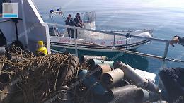 Pesca illegale, sequestrate 132 polpare a Terracina
