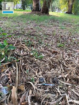 Siringhe nel parco di via Albalonga, chiesti controlli e bonifica