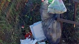 Celentano denuncia: "Il litorale sta diventando una discarica a cielo aperto"