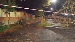 Maltempo alle porte di Roma, cadono alberi a Torvajanica e Pomezia