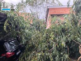 Alberi abbattuti e case danneggiate, la devastazione al lido