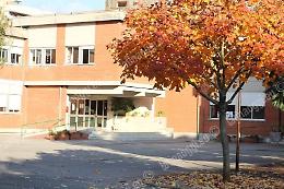 Topi alla scuola Goldoni, la diffida al Comune di un genitore