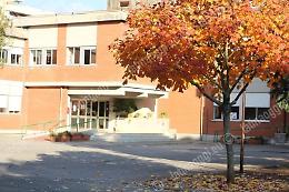 Topi alla Goldoni, dopo i Nas il sindaco chiude la scuola fino a mercoledì