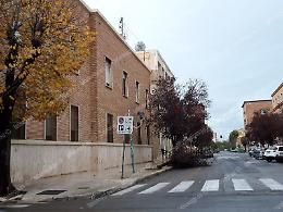 Alberi pericolosi, nel 2019 abbattuti a Latina 130 alberi