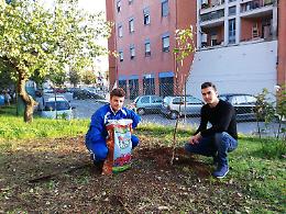 L'associazione "Il Bosco Urbano" adotta un'area verde in via Mascagni