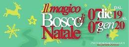 Il 7 dicembre a Pontinia arriva il magico bosco di Natale