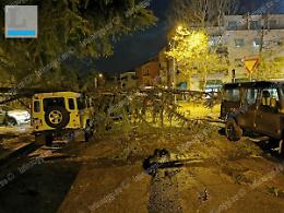 Maltempo, un ramo cade su un'auto in via Cesare Augusto