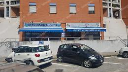 Rapina dal veterinario, bandito armato porta via soldi e un tablet