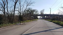 Nettunense, al via i lavori su alberi e asfalto da Anzio ad Aprilia