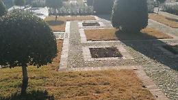 L'erba giapponese che rende gialli i giardini di piazza del Popolo a Latina