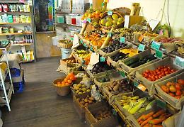 Ortofrutta, le esportazioni da record della provincia di Latina