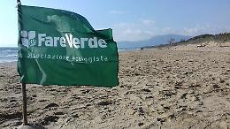 "Fare Verde" torna a ripulire la spiaggia per "Il mare d'inverno"