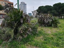 Casapound: Parco Europa, condizioni pietose. Degrado senza fine