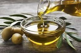 L'Olio delle Colline: sono oltre trecento i campioni in gara