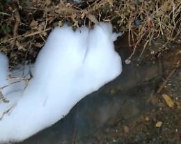Emergenza schiuma nel fosso dell'Acqua Buona, l'ora dei controlli