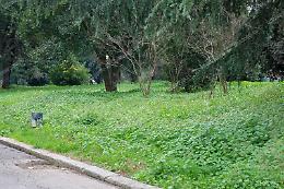 Parco Falcone e Borsellino, resta solo il degrado