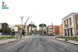 L'ultimo pino di viale Mazzini sarà rimosso lunedì: Comune irremovibile