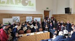 L'Olio delle Colline, premiate le eccellenze del territorio