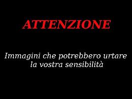 Vince la partita ed esulta sui social con una vignetta a sfondo sessuale