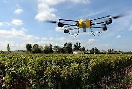 Industria 4.0 e Agricoltura 2.0: così si evolve la provincia di Latina