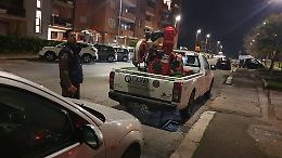 Invasione di processionaria, le Guardie zoofile del Norsaa disinfestano tutto