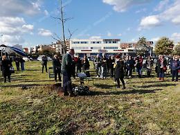 Un esempio impresso nel marmo, una targa e un albero per ricordare Roberto Fiorentini