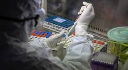 Coronavirus, il bollettino dallo Spallanzani