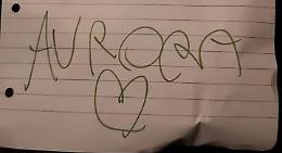 Coronavirus, il pensiero della piccola Aurora per le forze dell'ordine