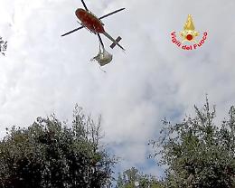 Spettacolare salvataggio di una mucca colta da malore
