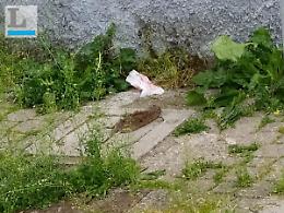 Latina, degrado in via Pasubio: sporcizia e incuria sotto gli occhi di tutti